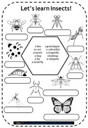 English Worksheet: insects coloring pages for kids