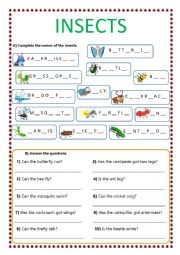 English Worksheet: INSECTS