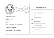 English Worksheet: Small dog worksheet 