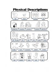 Physical characteristics 