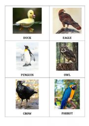 English Worksheet: BIRDS2