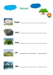 English Worksheet: nature