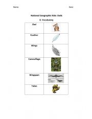 National geographic 1 owls - worksheet