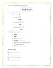 Practice about a/an, plurals and numbers