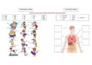English Worksheet: our body parts