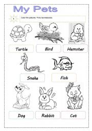 English Worksheet: pets