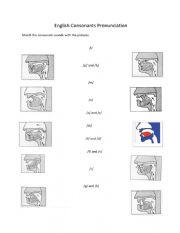 English Worksheet: Consonants - Place of Articulation
