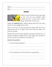 English Worksheet: insects reading comprehension