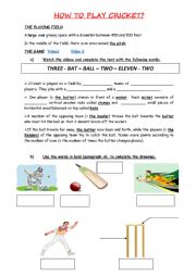 How to play cricket