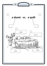 duvet or quilt