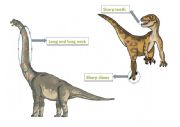 English Worksheet: dinosaurs-body parts