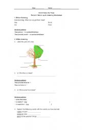 English Worksheet: The importance of trees