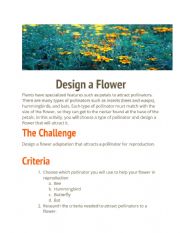 English Worksheet: Design a Flower