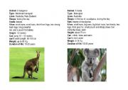 English Worksheet: ANIMALS FEATURES