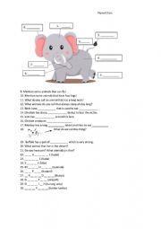 English Worksheet: Animal Worksheet