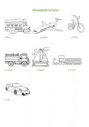 English Worksheet: Transportation