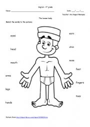English Worksheet: Body parts worksheet
