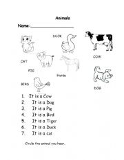 English Worksheet: animals