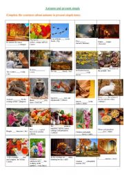 English Worksheet: Autumn time