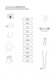 English Worksheet: Do you know the body parts?