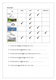 English Worksheet: What can birds do?
