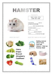 PETS 2 (hamster, fish, turtle, parakeet)
