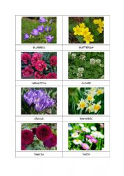FLOWERS flashcards (part 1)