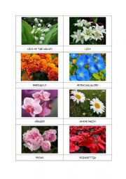 FLOWERS flashcards (part 2)