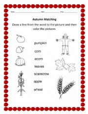 English Worksheet: Autumn matchin