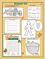 English Worksheet: Autumn Fun