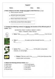 English Worksheet: Plants review