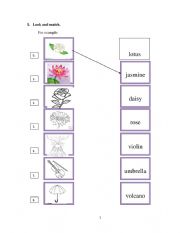 English Worksheet: FLOWERS