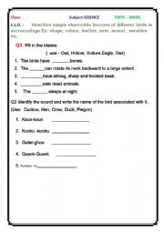 English Worksheet: Birds and their Features