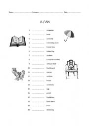 English Worksheet: A AN exercise