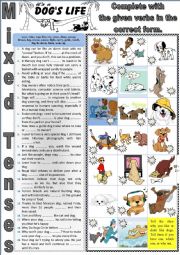 English Worksheet: More about dogs II -  It is a dog�s life. MIXED TENSES + KEY