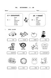 English Worksheet: a / an determiner