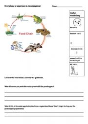 English Worksheet: Food Chains  What if...