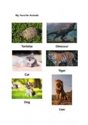 My Favorite Animals