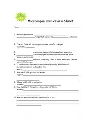 English worksheet: Microorganisms worksheet