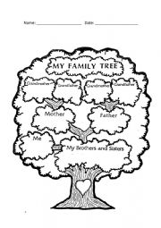 English Worksheet: Family tree