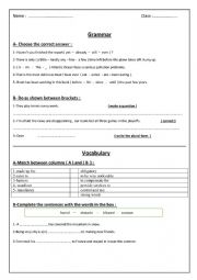 English Worksheet: Test about grammar and vocabulary