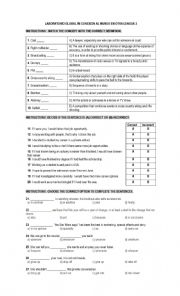 English Worksheet: Review