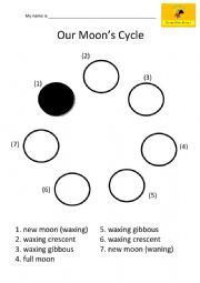 English Worksheet: Moon Phases