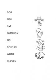 English Worksheet: ANIMALS