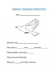 English Worksheet: Birds