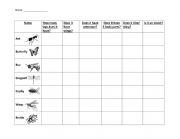 English Worksheet: Insects Project
