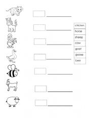 English Worksheet: kind of animals