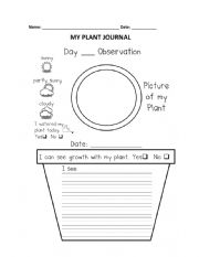 English Worksheet: Plant journal