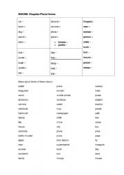 English Worksheet: Nouns: singular and plural 