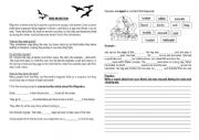 English Worksheet: Comprehension and description